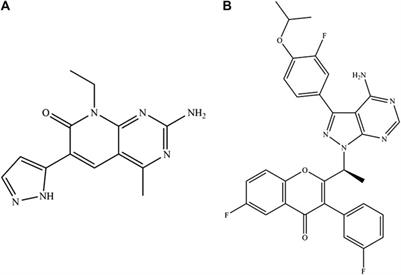 UPLC-MS/MS Technology for the Quantitative Methodology and Pharmacokinetic Analysis of Voxtalisib in Rat Plasma